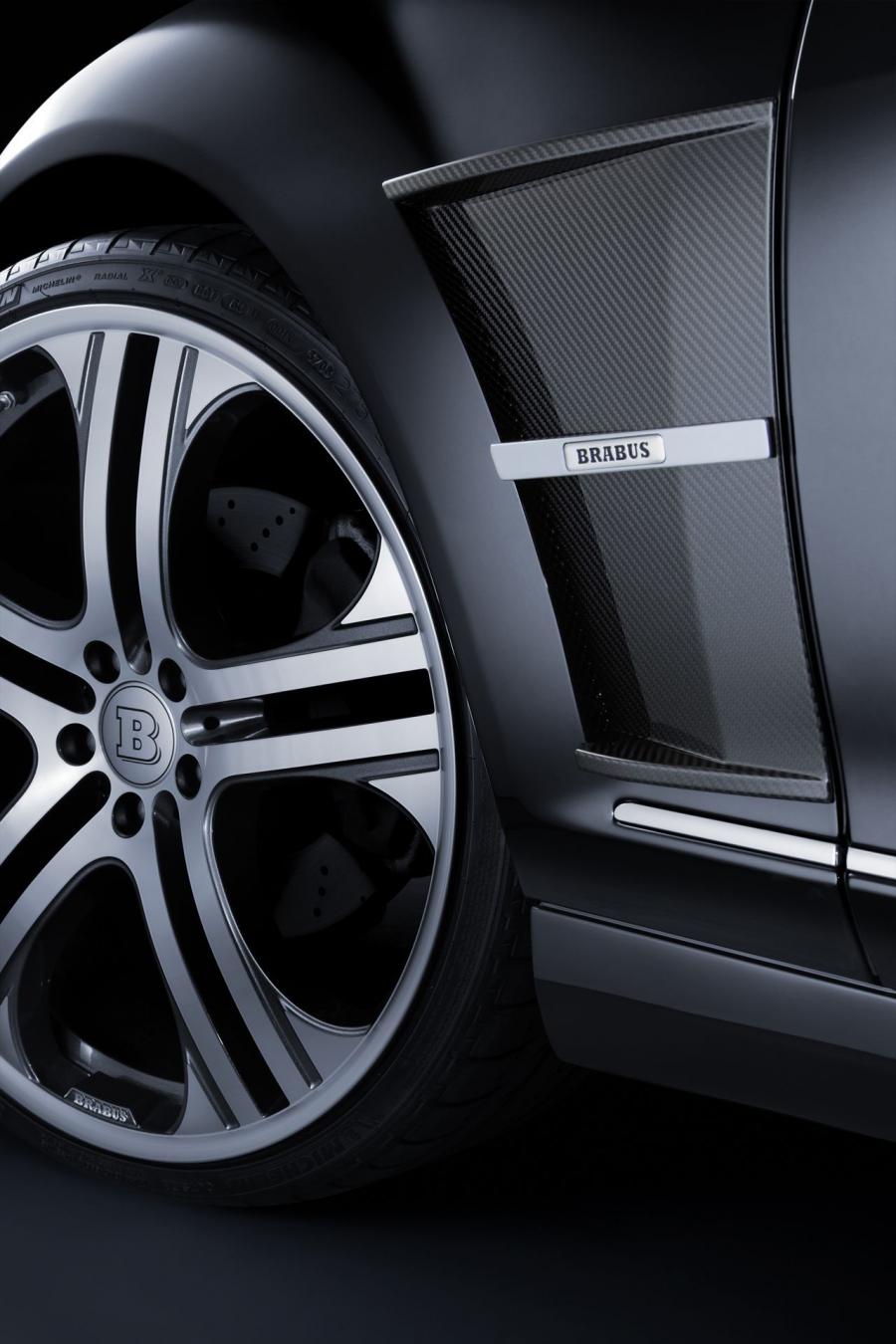  Mercedes-Benz S V12 R by Brabus 2009 года  (фото 21 из 48)